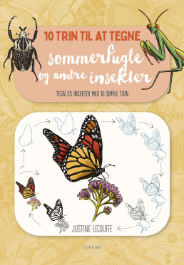 10 trin til at tegne sommerfugle og andre insekter