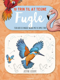 10 trin til at tegne fugle