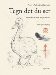 Tegn det du ser