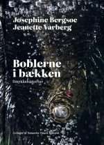 Boblerne i bækken
